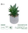 GloboStar® Artificial Garden SUCCULENT ALOE 21096 Διακοσμητικό Φυτό Παχύφυτο Αλόη Υ17cm